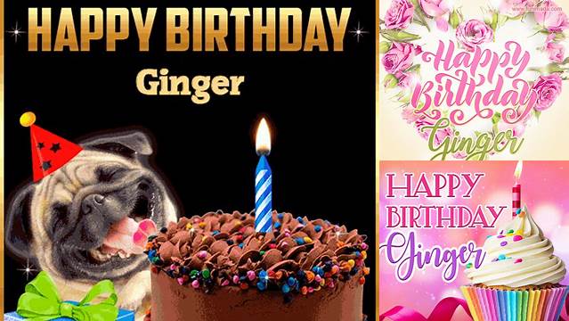 Happy Birthday Ginger Girl! | Cat birthday party, Cat birthday, Happy