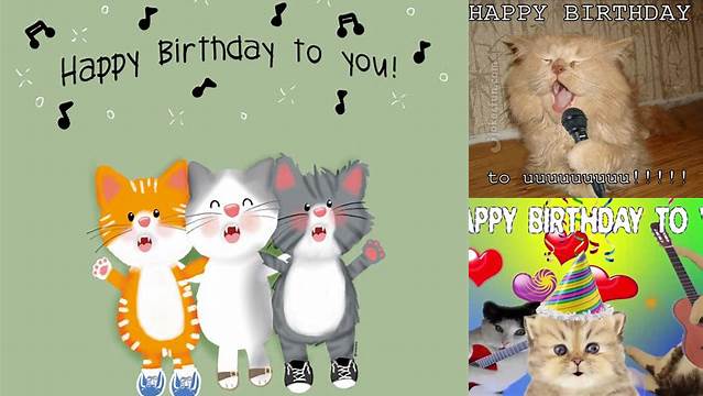 Happy Birthday With Cats Singing - Cat Meme Stock Pictures and Photos