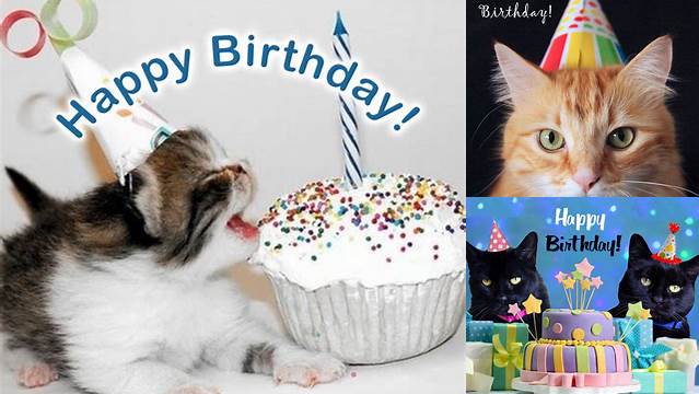 Happy Birthday to The Cat Pictures - 50 Greeting Cards For Free