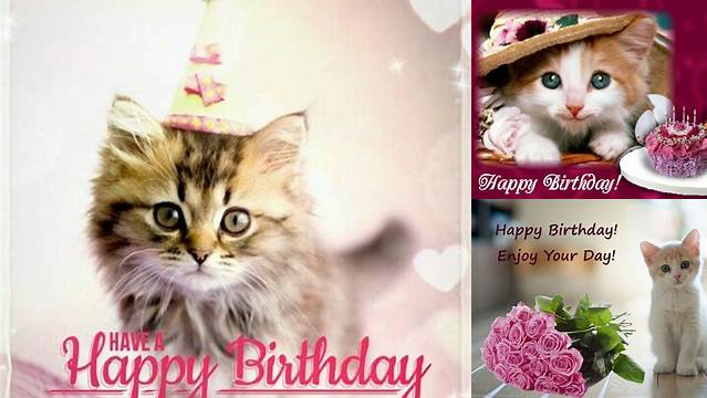 Happy birthday images with Kittens💐 — Free happy bday pictures and