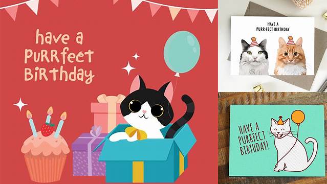 Have A Purrfect Birthday Card | The Curious Pancake