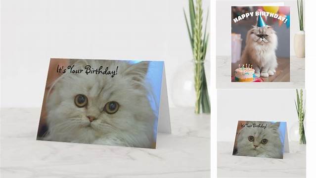 Persian Kitten Birthday Card | Zazzle