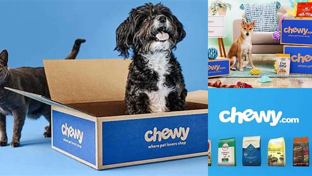Pet Food, Products, Supplies at Low Prices - Free Shipping | Chewy.com