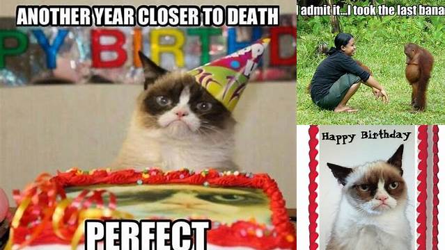 Pin by Jordyn Robinson on Funnies | Grumpy cat birthday, Grumpy cat