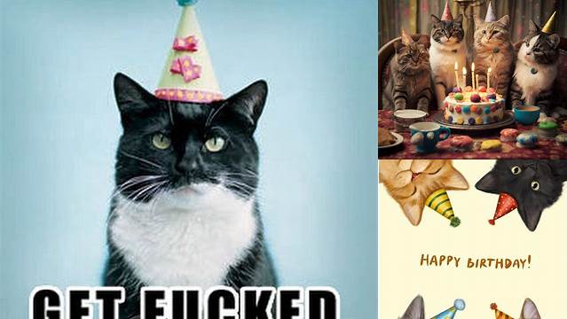 Pin by Liz ♡ on Animals | Happy birthday cat, Cat birthday, Cats