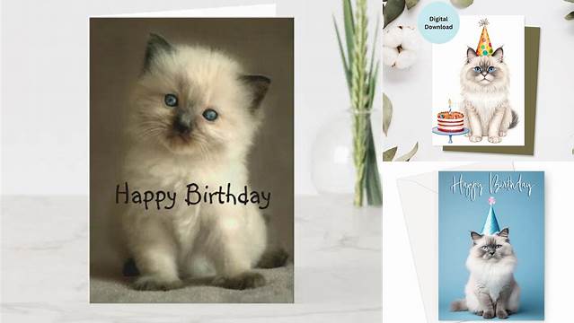 Ragdoll kitten Birthday Card