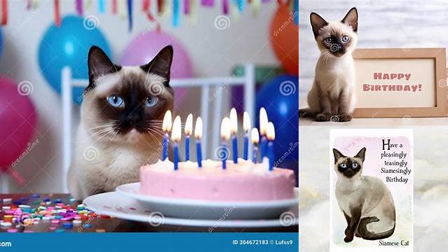 Siamese Cat Happy Birthday - British Shorthair