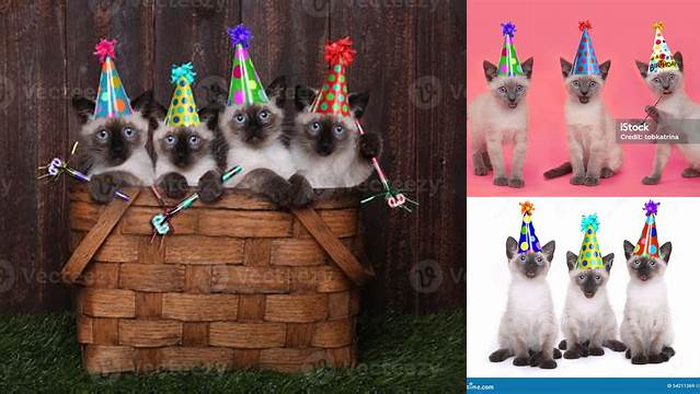 Siamese Kittens Celebrating A Birthday With Hats Stock Photo - Image