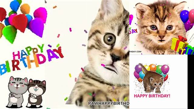 Small cat singing happy birthday - YouTube | Singing happy birthday