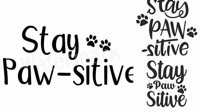 Stay Paw-sitive Pet Quote SVG, Pet Shirt, Funny Dog Mug, Cat Mug