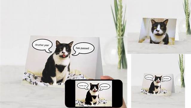 Tuxedo Cat Birthday Humor Card | Zazzle