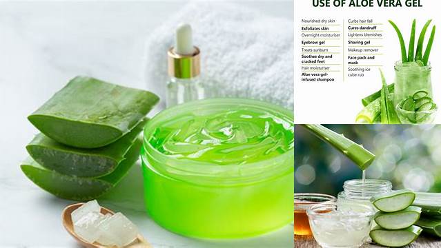 Manfaat Aloe Vera Gel yang Jarang Diketahui, Anda Perlu Tahu!