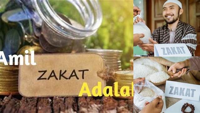 Amil Zakat Adalah