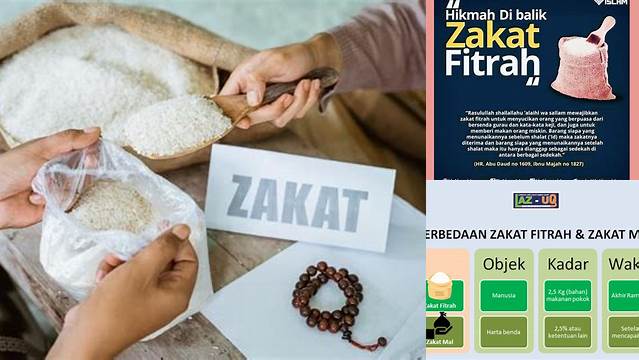 Apa Arti Dari Zakat Fitrah