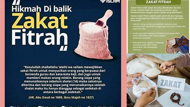 Apa Arti Zakat Fitrah