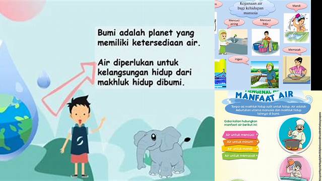 Manfaat Air untuk Makhluk Hidup yang Belum Anda Ketahui