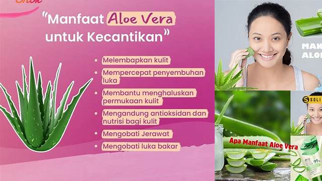 Temukan Manfaat Aloe Vera yang Jarang Diketahui dan Penting Bagi Anda