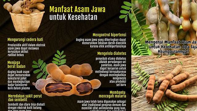 Temukan Rahasia Manfaat Asam Jawa yang Jarang Diketahui