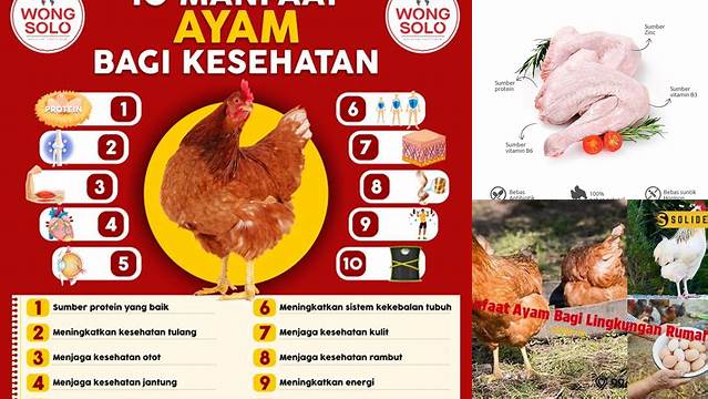 Temukan Manfaat Ayam yang Akan Mengejutkan Anda