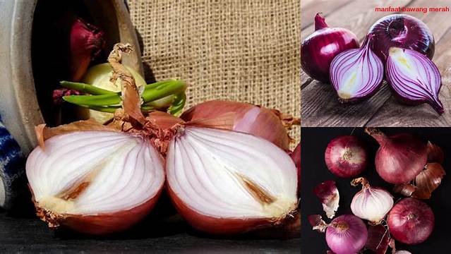 10 Manfaat bawang merah untuk kesehatan tubuh Anda