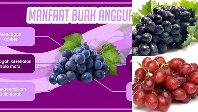 Temukan Manfaat Buah Anggur yang Jarang Diketahui Anda Butuh Tahu