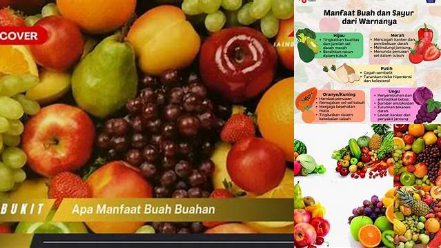 10 Manfaat apa manfaat buah buahan Rahasia Kesehatan Terungkap