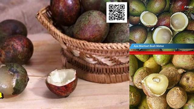 Temukan 7 Manfaat Buah Matoa yang Jarang Diketahui!