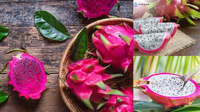 10 Manfaat apa manfaat buah naga untuk ibu hamil kehamilan sehat alami
