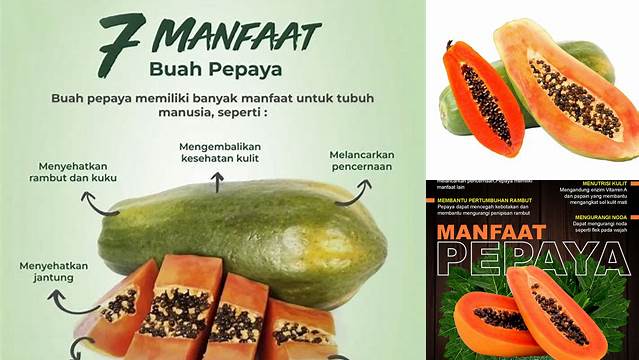 Temukan Manfaat Buah Pepaya yang Jarang Diketahui