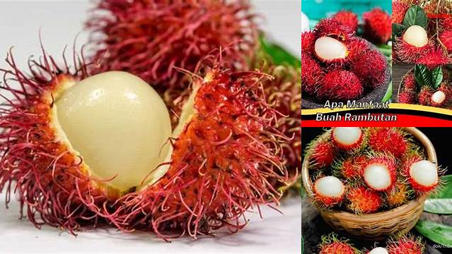 Temukan Manfaat Buah Rambutan yang Jarang Diketahui