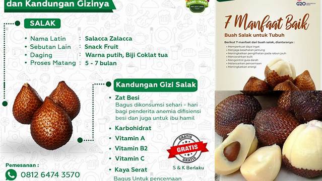 9 Manfaat Buah Salak untuk Kesehatan Tubuh Anda
