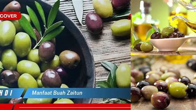 Temukan 9 Manfaat Buah Zaitun yang Perlu Diketahui