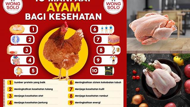 Temukan 7 Manfaat Daging Ayam yang Jarang Diketahui