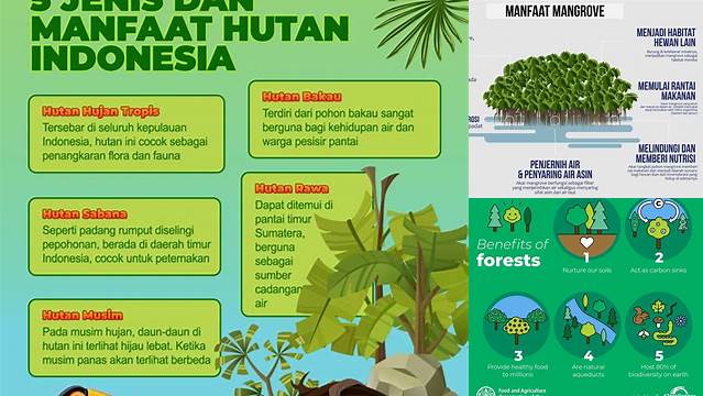 Temukan 9 Manfaat Hutan yang Menakjubkan