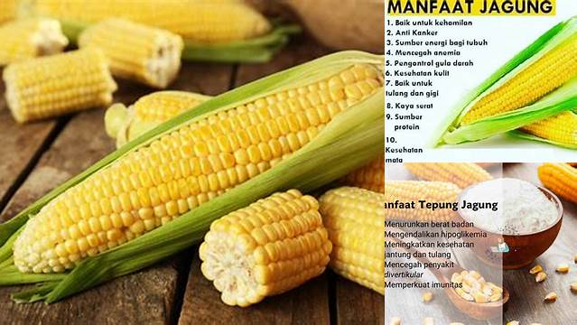 Temukan Manfaat Jagung yang Jarang Diketahui