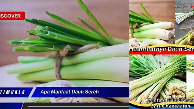 8 Manfaat apa manfaat daun sereh Untuk Kesehatan dan Kecantikan