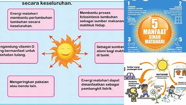 Temukan 7 Manfaat Energi Matahari yang Jarang Diketahui untuk Manusia