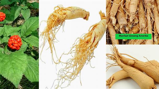 Terungkap Khasiat Ginseng yang Jarang Orang Tahu