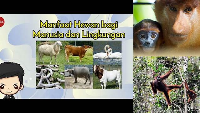 Temukan Manfaat Langka Bekantan Bagi Lingkungan yang Jarang Diketahui