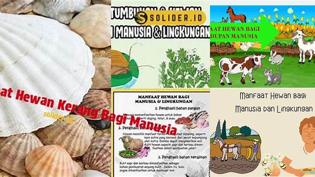 Temukan 11 Manfaat Hewan Kerang yang Jarang Diketahui, Bikin Anda Tercengang!