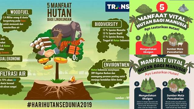 Temukan 9 Manfaat Hutan yang Jarang Diketahui