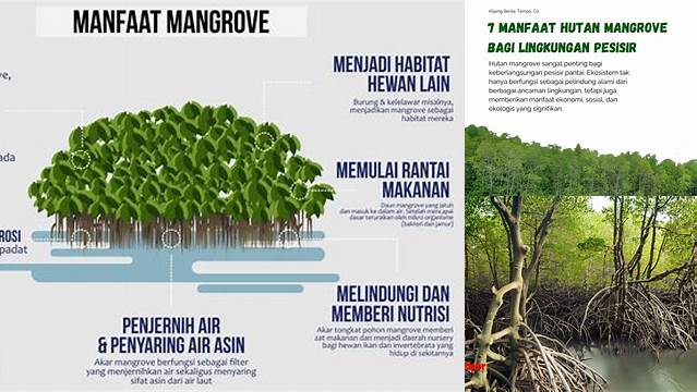 Ungkap Manfaat Hutan Mangrove yang Jarang Diketahui