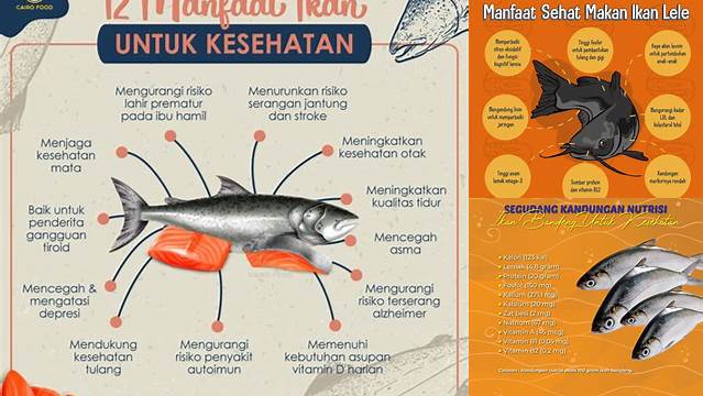 Temukan 'Apa Manfaat Ikan' yang Jarang Diketahui