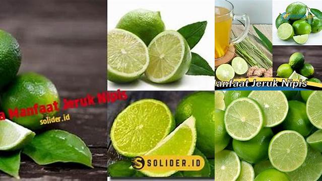 10 Manfaat Jeruk Nipis untuk Kesehatan dan Kecantikan Kulit