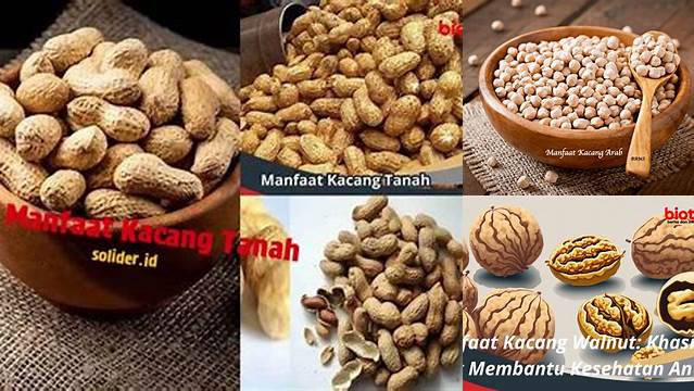 Manfaat Kacang: 5 Rahasia yang Jarang Diketahui