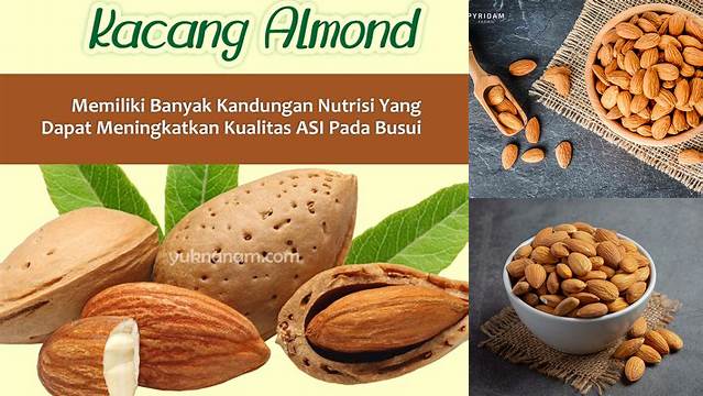 Temukan Berbagai Khasiat Kacang Almond yang Jarang Diketahui