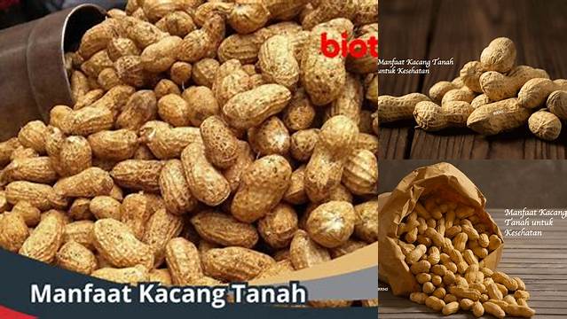 Temukan Rahasia Manfaat Kacang Tanah yang Jarang Diketahui