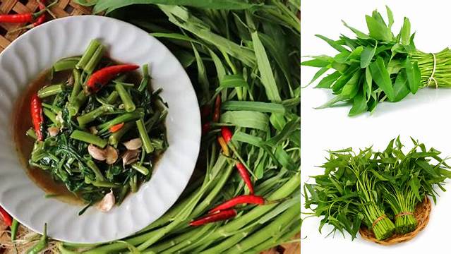 Ungkap Manfaat Kangkung yang Jarang Diketahui!