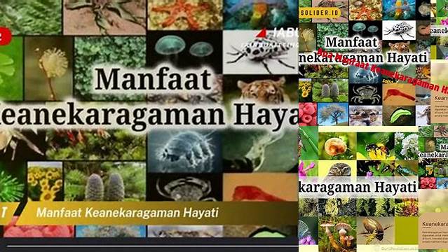 Temukan Manfaat Keanekaragaman Hayati yang Jarang Diketahui