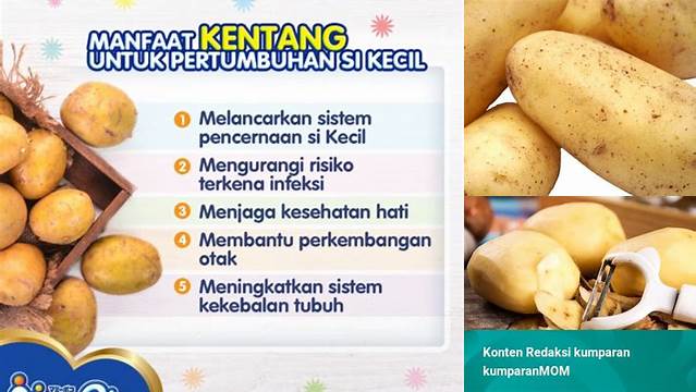 Temukan 6 Manfaat Kentang yang Jarang Diketahui, Wajib Dicoba!